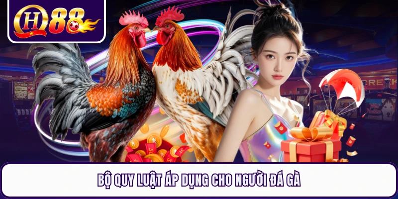 Bộ quy luật áp dụng cho người đá gà