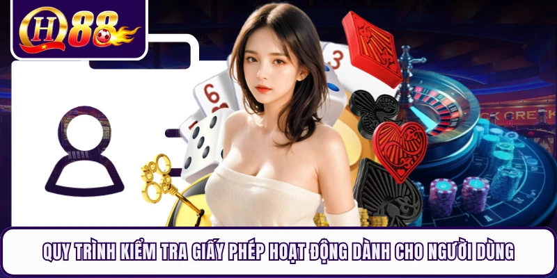 Quy trình kiểm tra giấy phép hoạt động dành cho người dùng